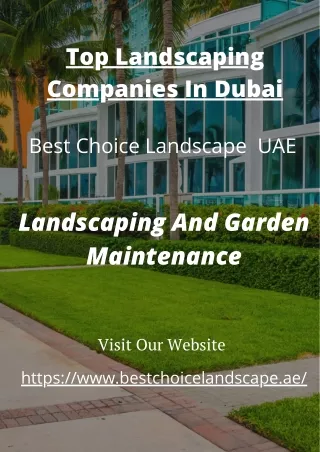 Top Landscaping Companies In Dubai | Bestchoicelandscape
