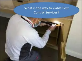 what is the way to viable pest control services