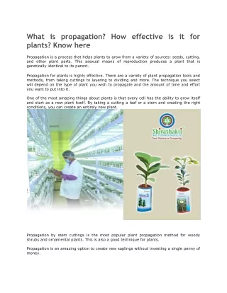 What is propagation? How effective is it for plants? Know here