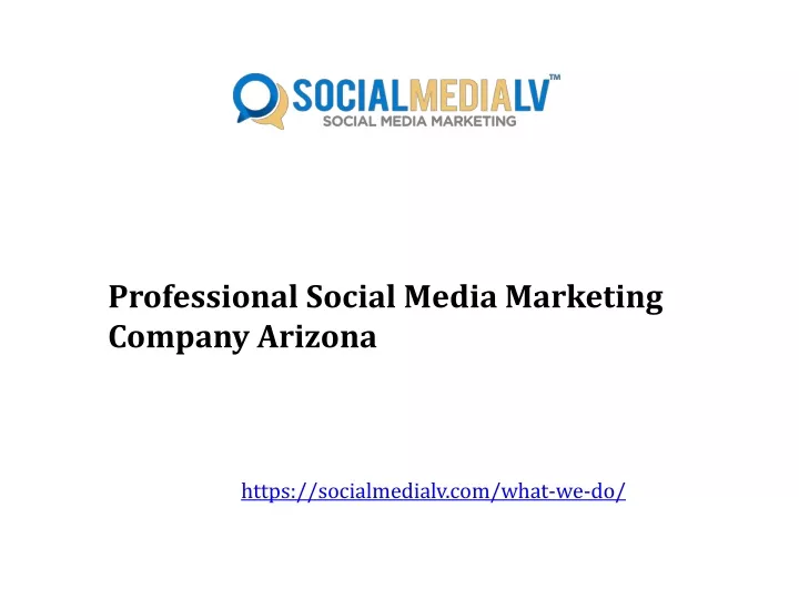 professional social media marketing company