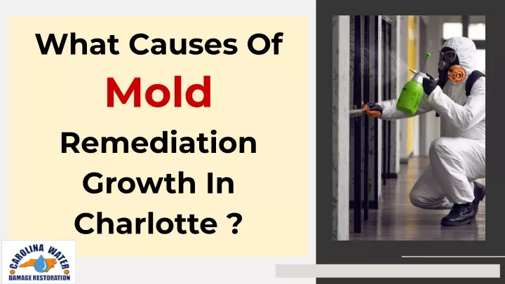 what causes of mold remediation growth