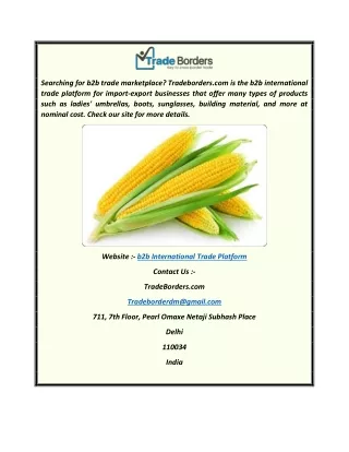B2b International Trade Platform  Tradeborders.com