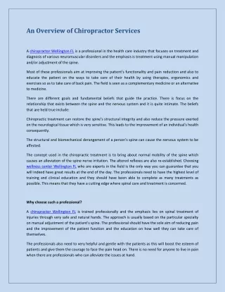 an overview of chiropractor services
