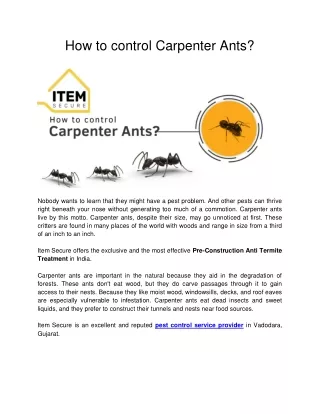 How to control Carpenter Ants ?