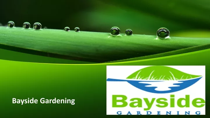 bayside gardening