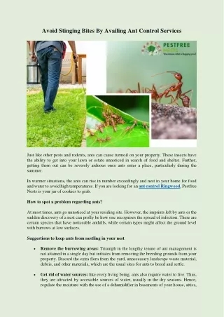 Avoid Stinging Bites By Availing Ant Control Services