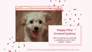 Puppy School Sydney