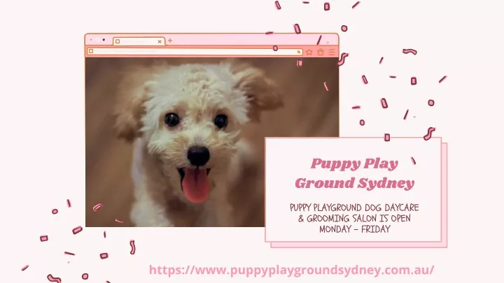 puppy play ground sydney
