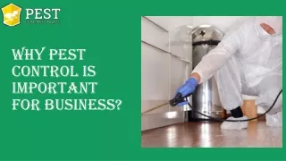 Why Pest Control is Important for Business