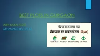 Best Deen Dayal Plots Gurgaon