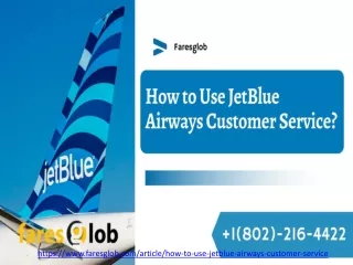 https www faresglob com article
