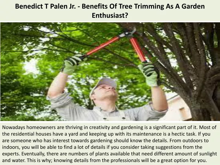 benedict t palen jr benefits of tree trimming as a garden enthusiast