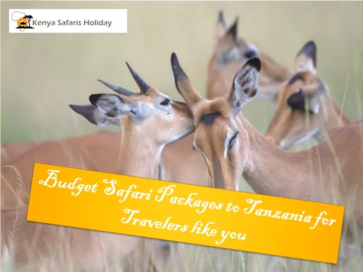 budget safari packages to tanzania for travelers