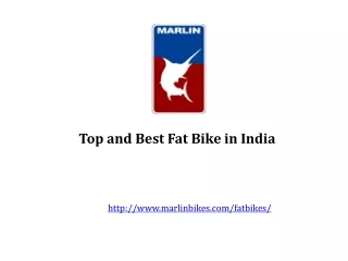 Top and Best Fat Bike in India
