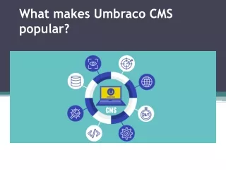 what makes umbraco cms popular