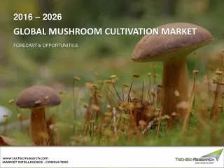 Global Mushroom Cultivation Market, 2026