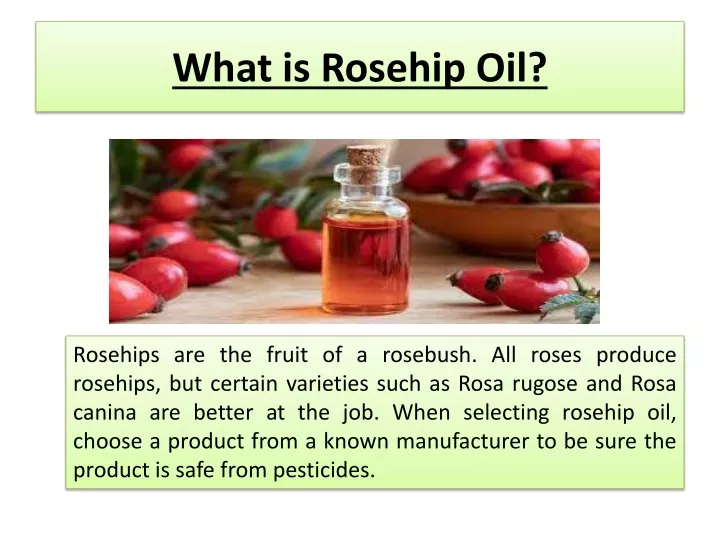 what is rosehip oil