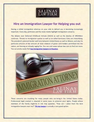 Hire an immigration law firms in Houston for Helping you out