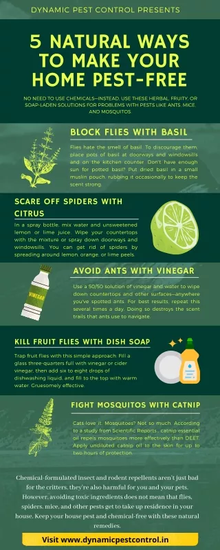 5 Natural Ways to make Your Home Pest Free