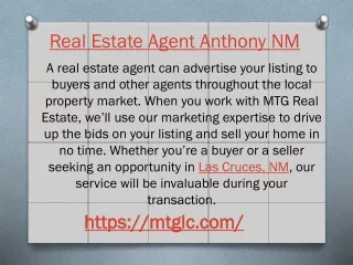 Real Estate Agent Anthony NM