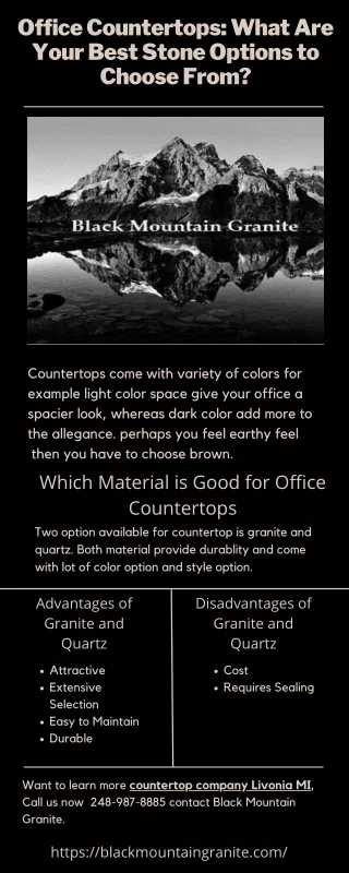 Office Countertops What Are Your Best Stone Options to Choose From