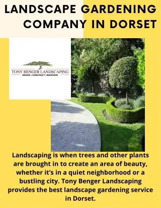 Premium Landscape Gardening service in Dorset