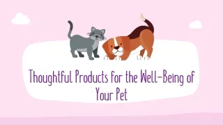 Thoughtful Products for the Well-Being of Your Pet