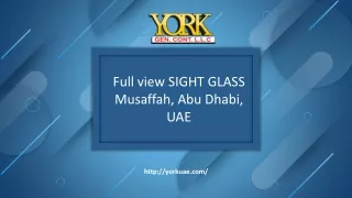 Full view SIGHT GLASS