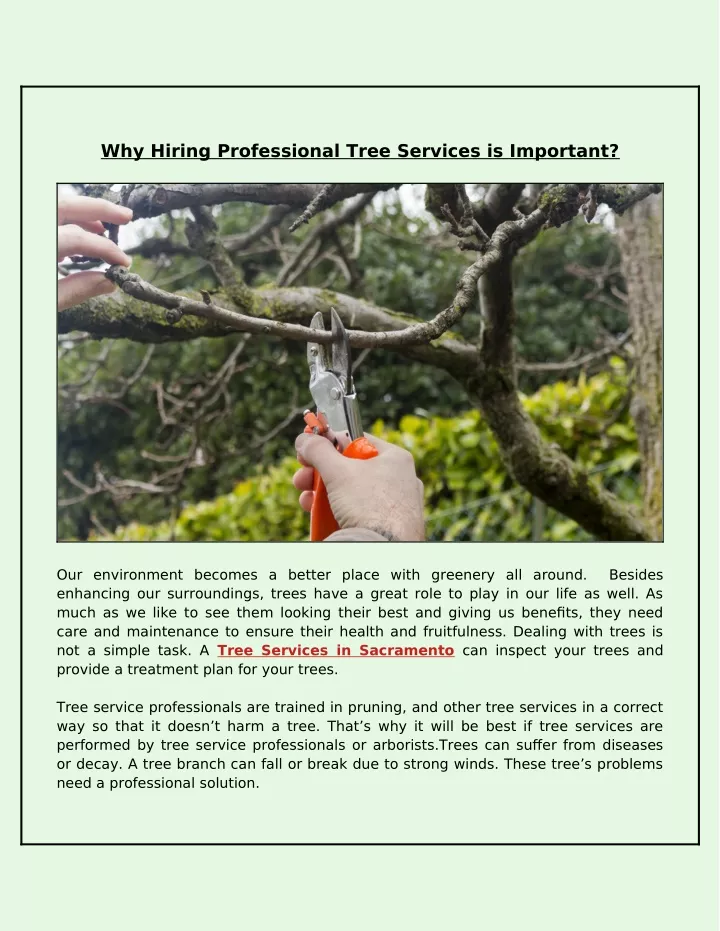 why hiring professional tree services is important