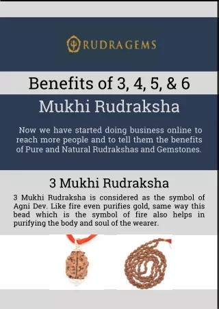 Benefits of 3, 4, 5, & 6 Mukhi Rudraksha