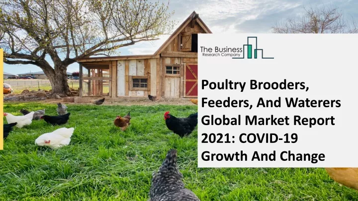 poultry brooders feeders and waterers global