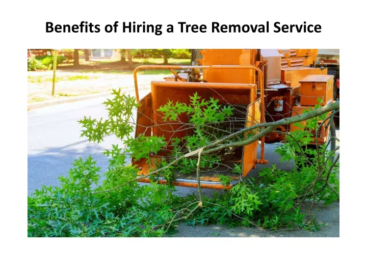 benefits of hiring a tree removal service