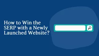 How to Win the SERP with a Newly Launched Website?