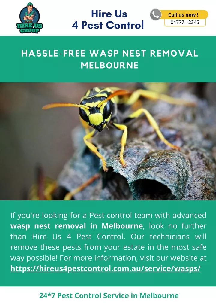 hire us 4 pest control