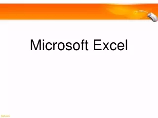 MS Exel