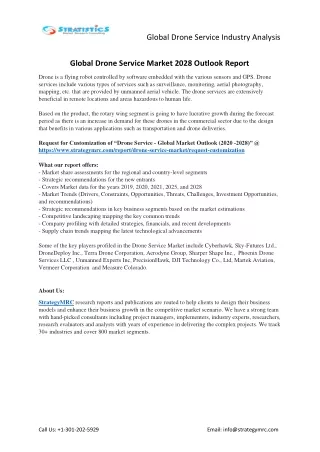 global drone service industry analysis