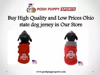 Buy High Quality and Low Prices Ohio state dog jersey in Our Store