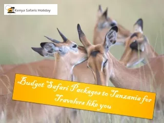 Budget Safari Packages to Tanzania for Travelers like you