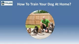 How To Train Your Dog At Home? - Primal Needs