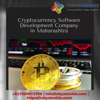 cryptocurrency software development company