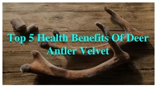 Top 5 Health Benefits Of Deer Antler Velvet That You Didn’t Know