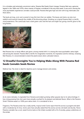 Just How To  Market Most Important Panama Red Strain Seeds Grow Info To A Skepti