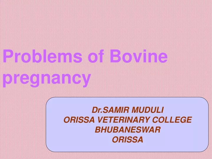 problems of bovine pregnancy