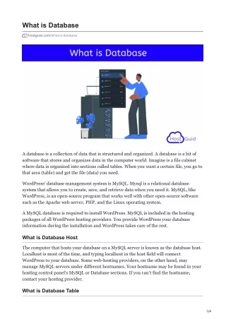 what is database