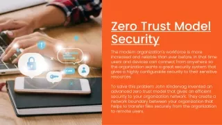zero trust model security