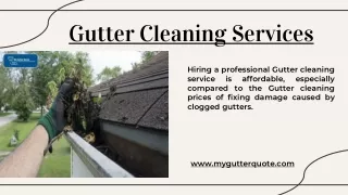 gutter cleaning services