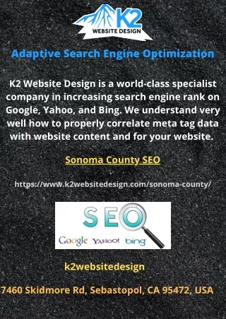 adaptive search engine optimization