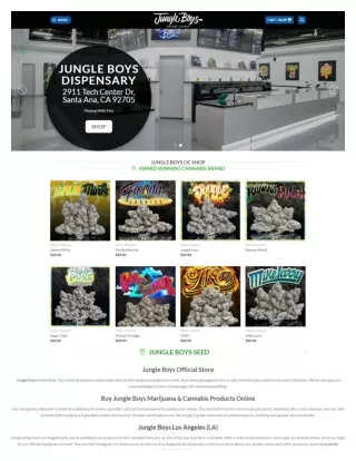 Jungle Boys Official Store