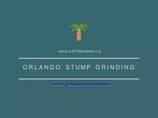 Orlando Stump Grinding-Trust for professional stump grinding