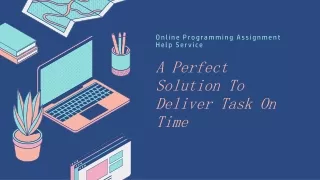online programming assignment help service